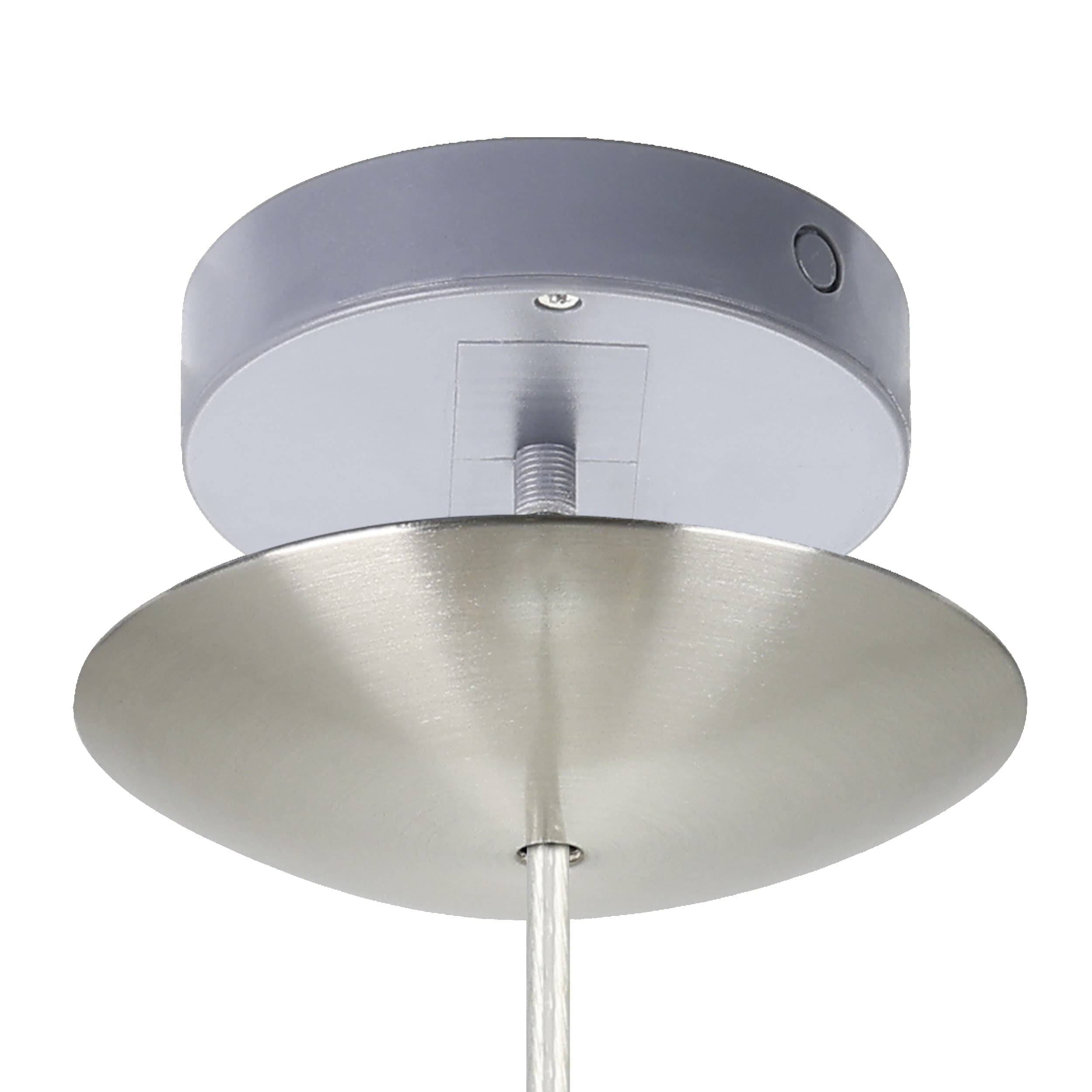 31599 Detail