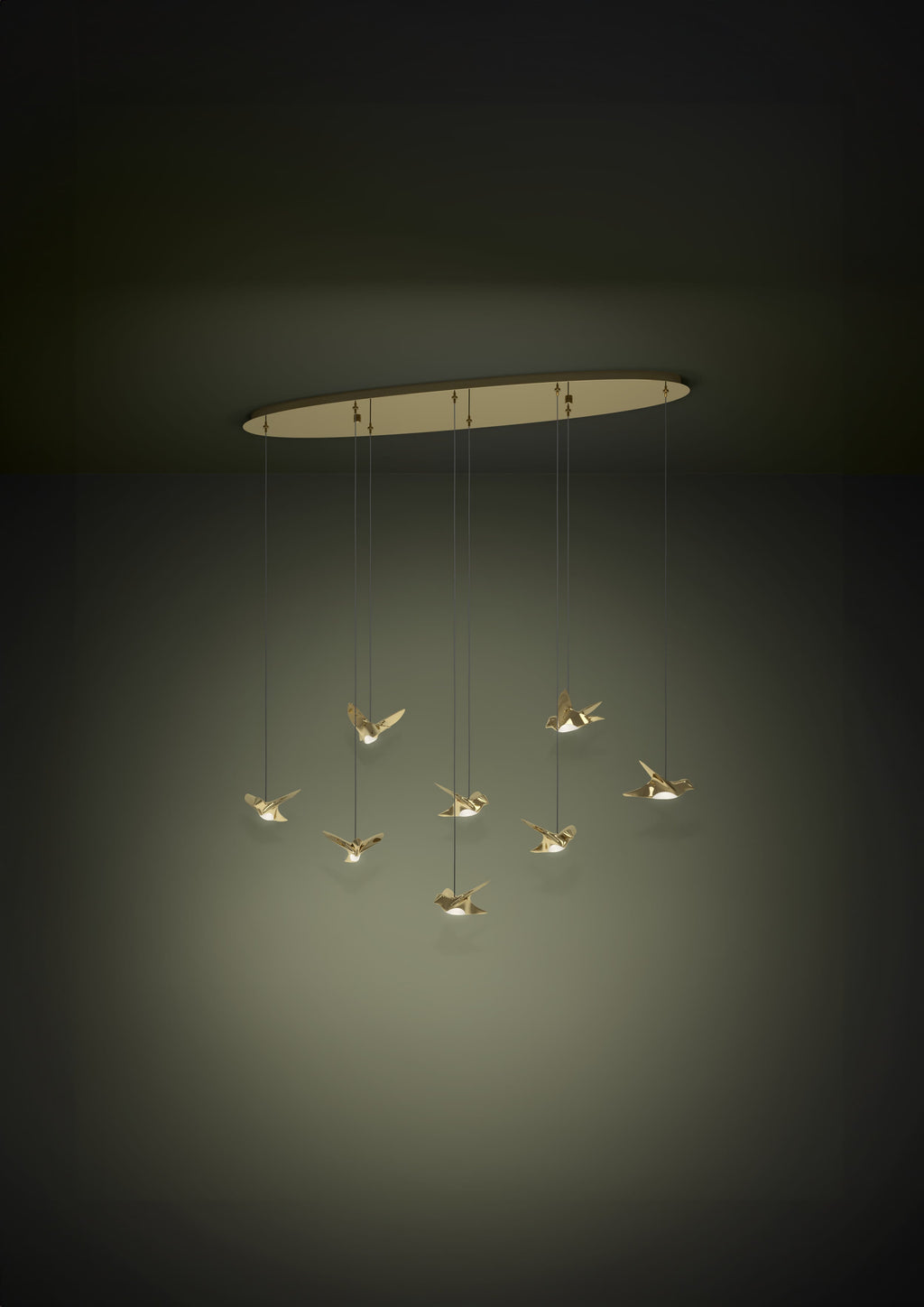 390397 Ambient