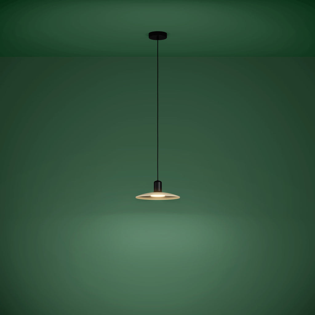 39911 Ambient