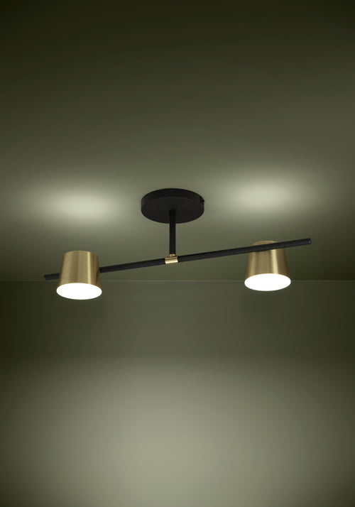 39983 Ambient