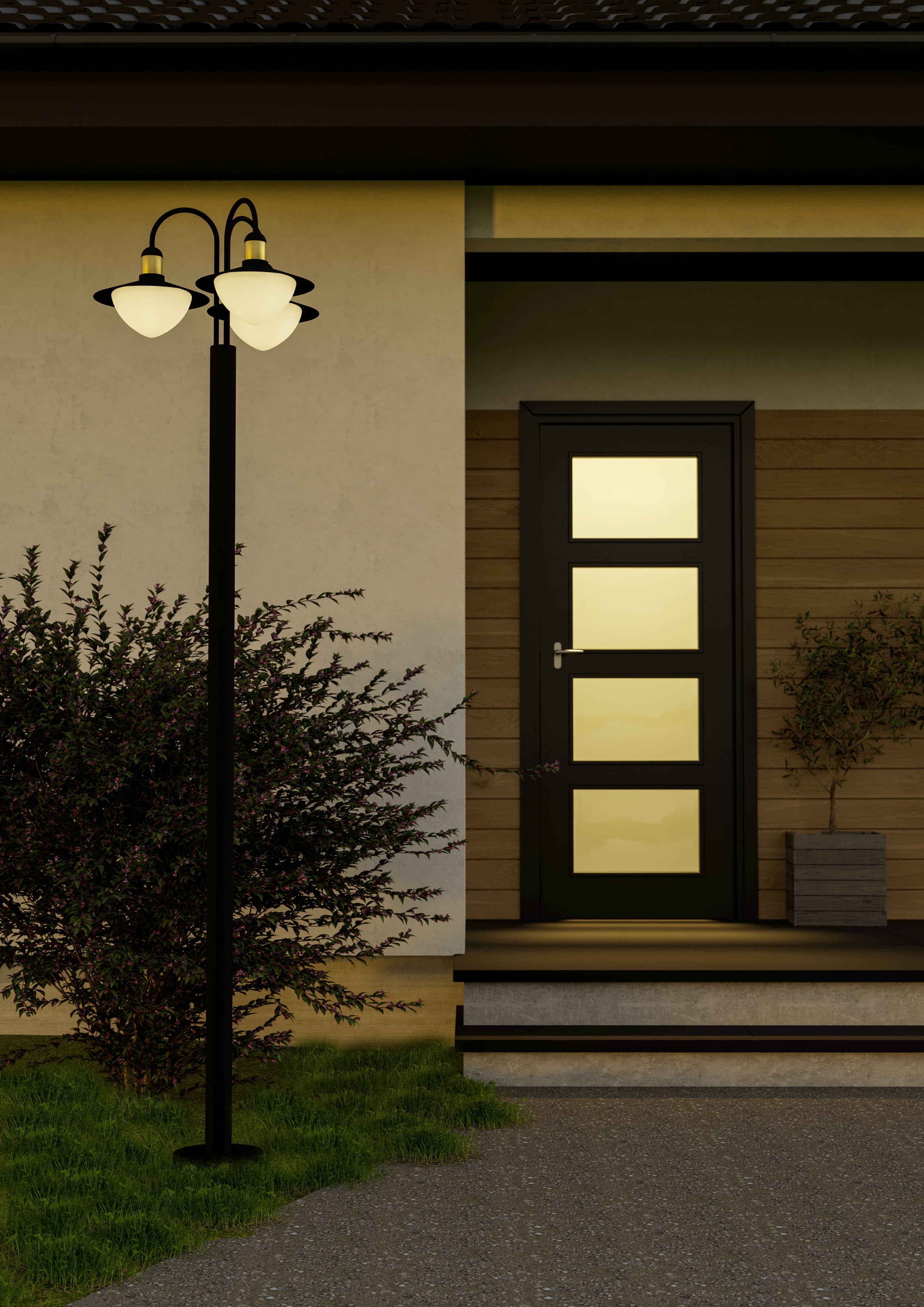 97288 Ambient